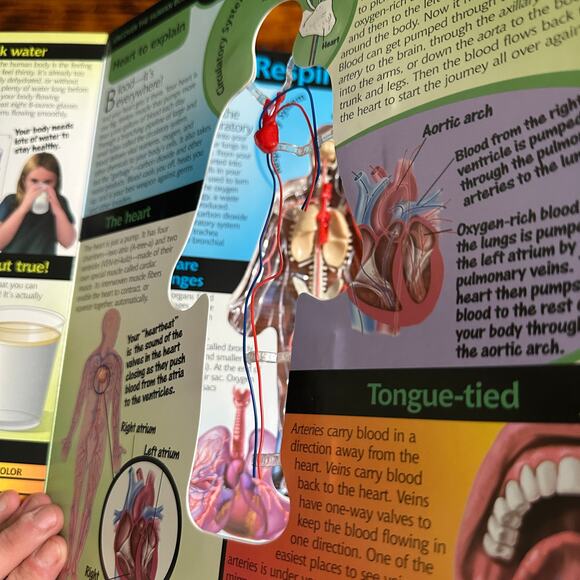 Vintage 2002 Uncover HUMAN BODY 3-D Anatomy Hardcover Book - Picture 7 of 12